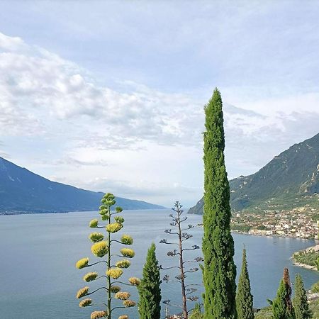 Centro Vacanze La Limonaia ليمونِ سول غاردا المظهر الخارجي الصورة